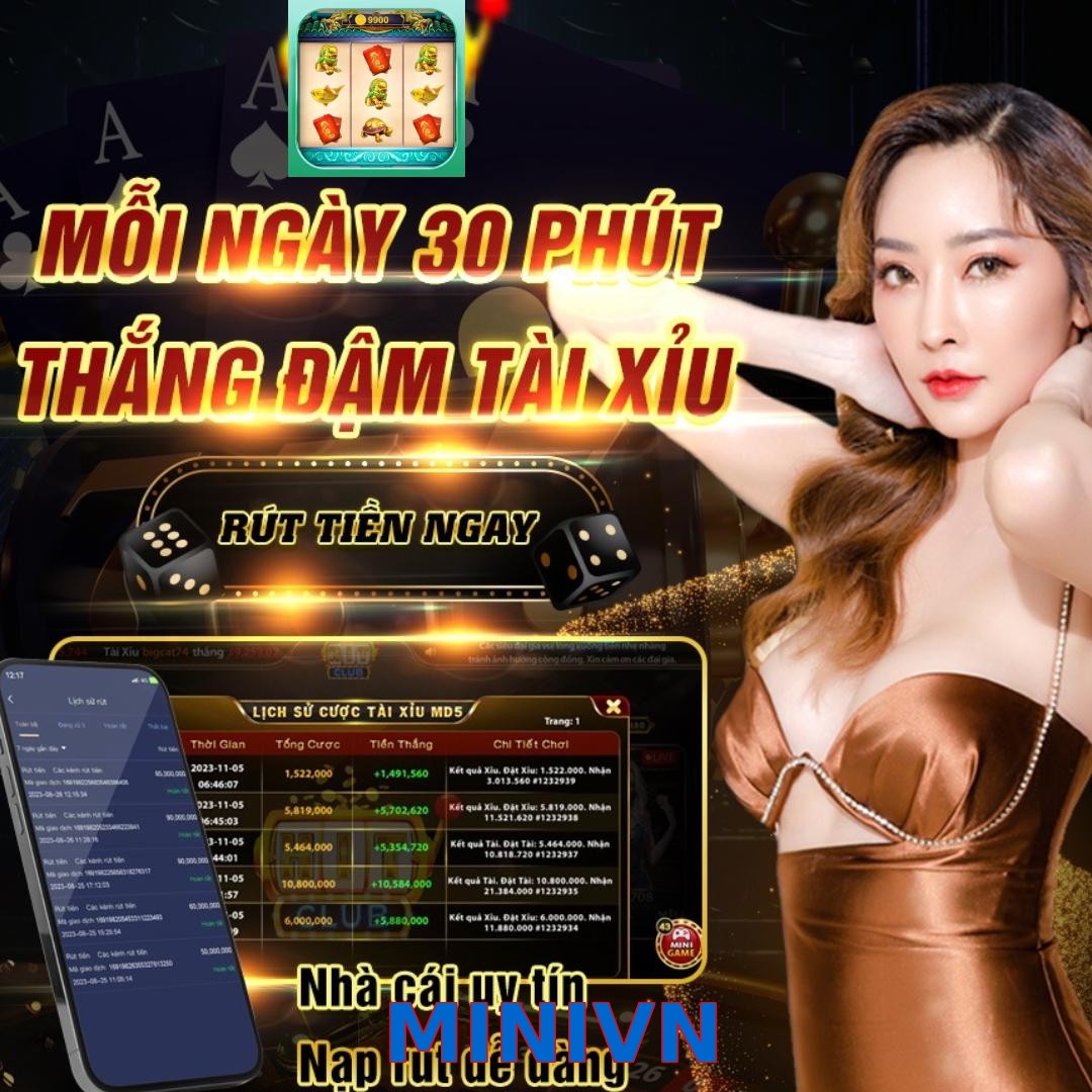 MINIVN